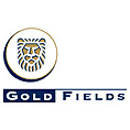 Gold Fields